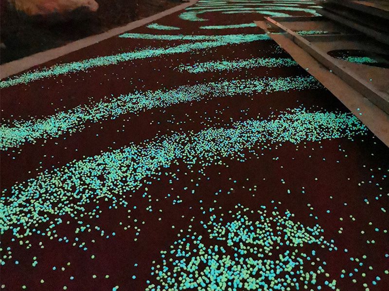 客户案例展示